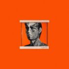 Mini vinyl frame van esdoorn hout voor een rij met platen